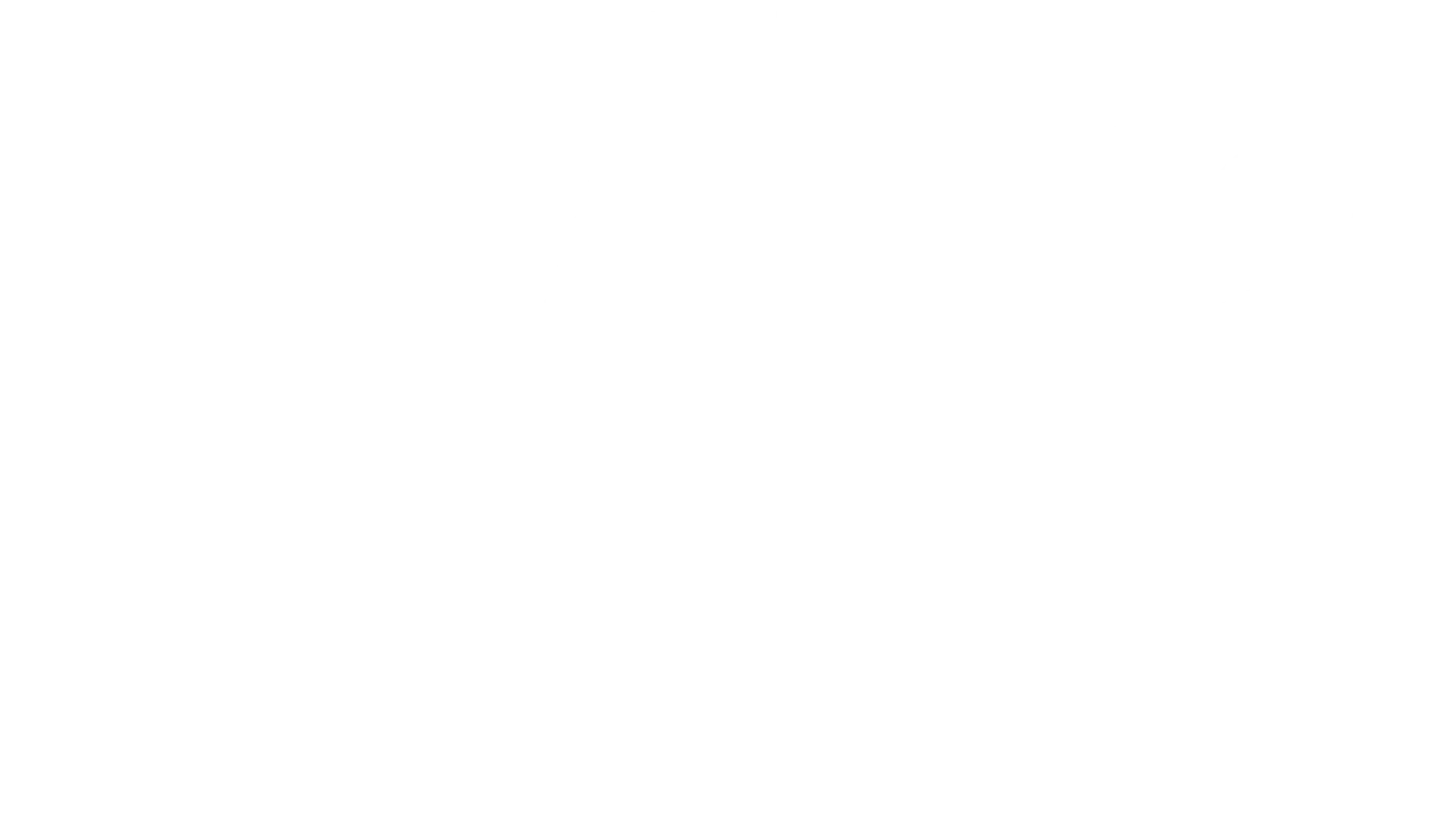 Logo Hyllua Husein